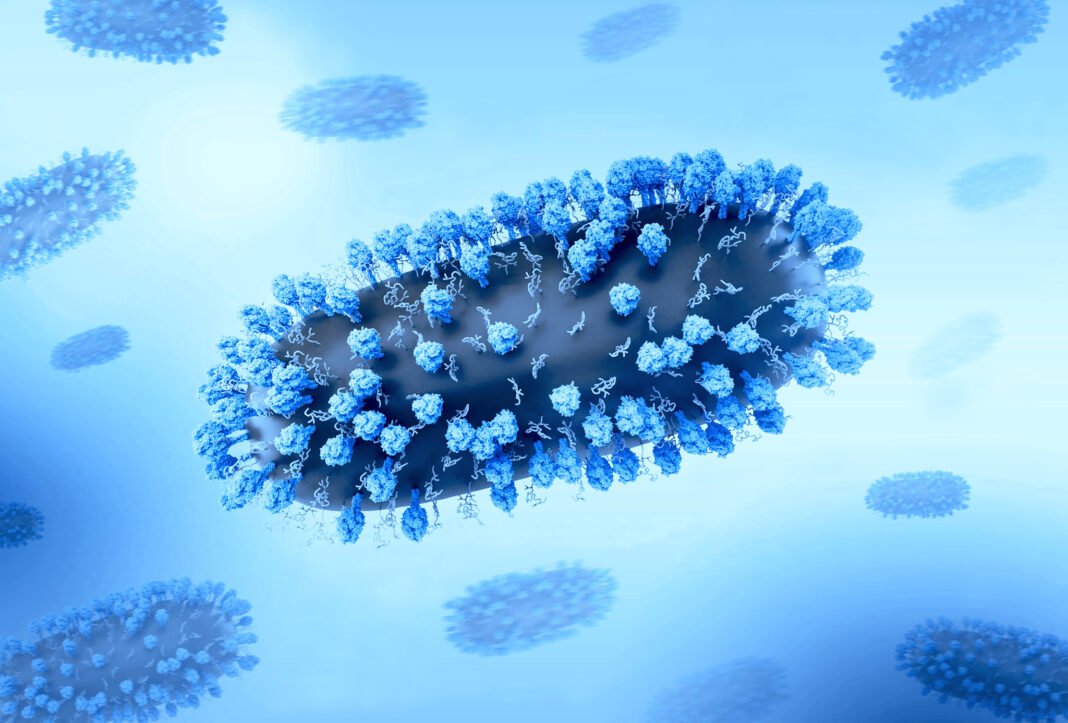 RSV Vaccine