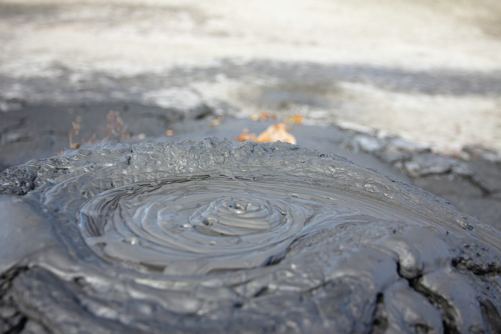 a close up of a tree stump with water on it