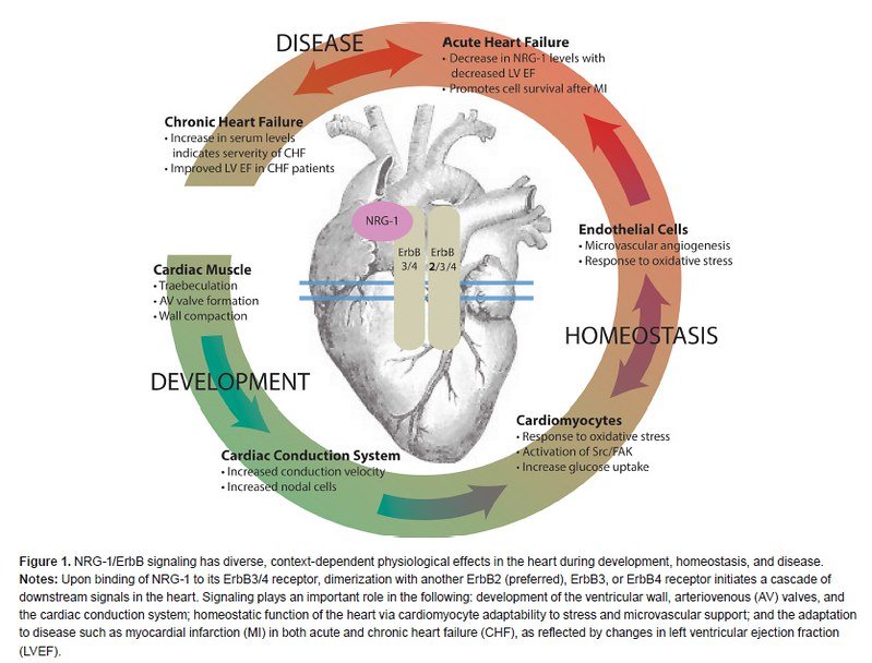 Chronic Disease Insights Chronic Disease Insights