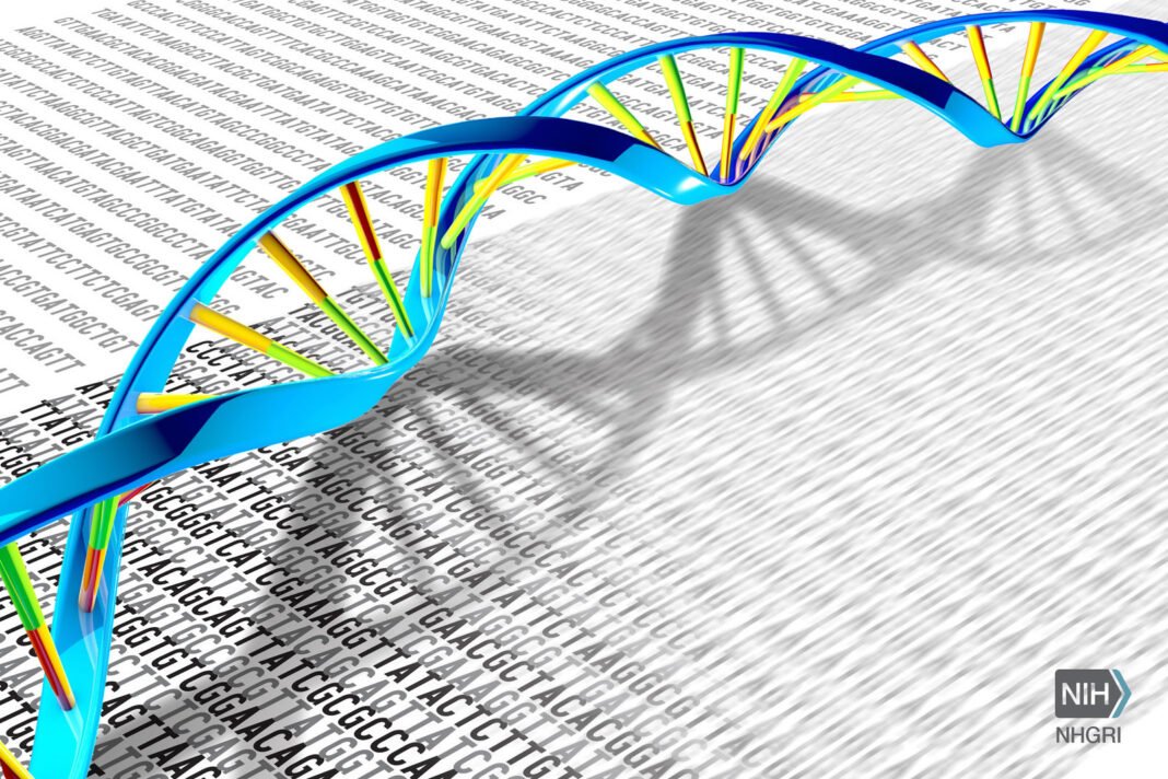 DNA