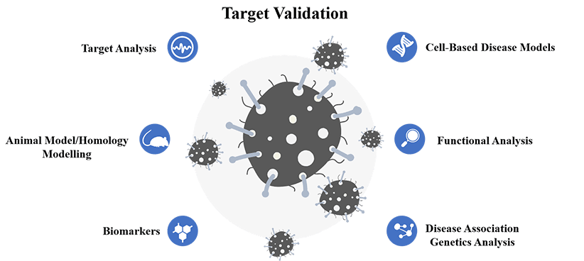 ASO Discovery Programs into Animal Models ASO Discovery Programs into Animal Models