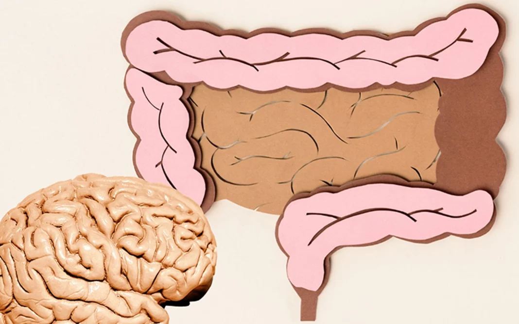Gut Health Gut Health