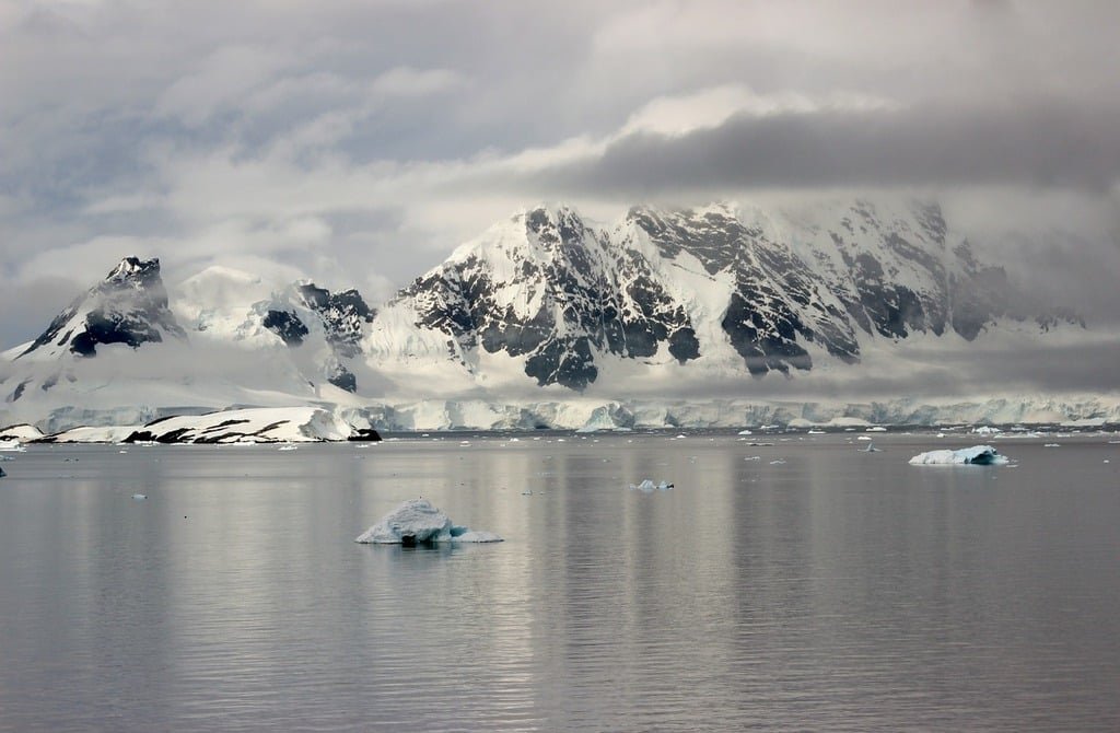 Antarctica Antarctica
