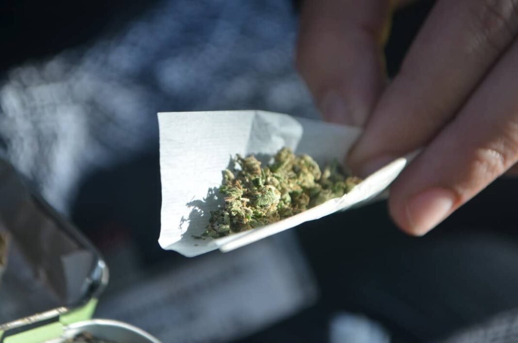 Cannabis
