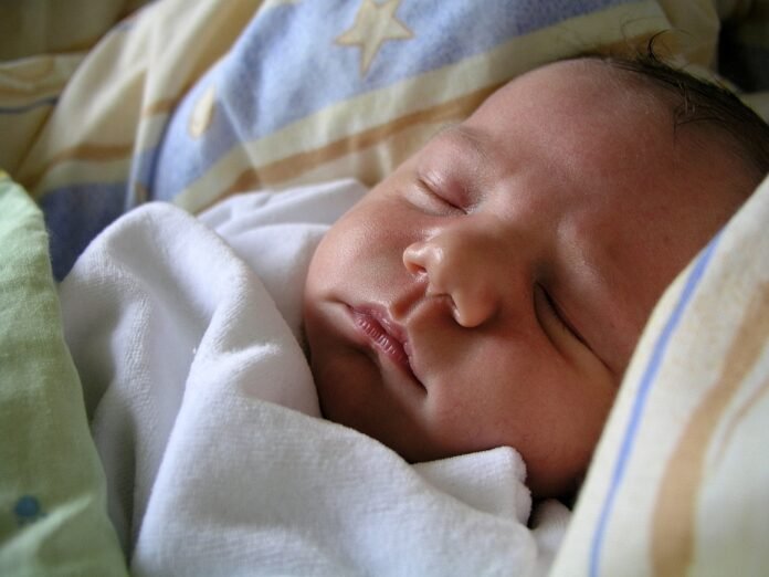 Baby