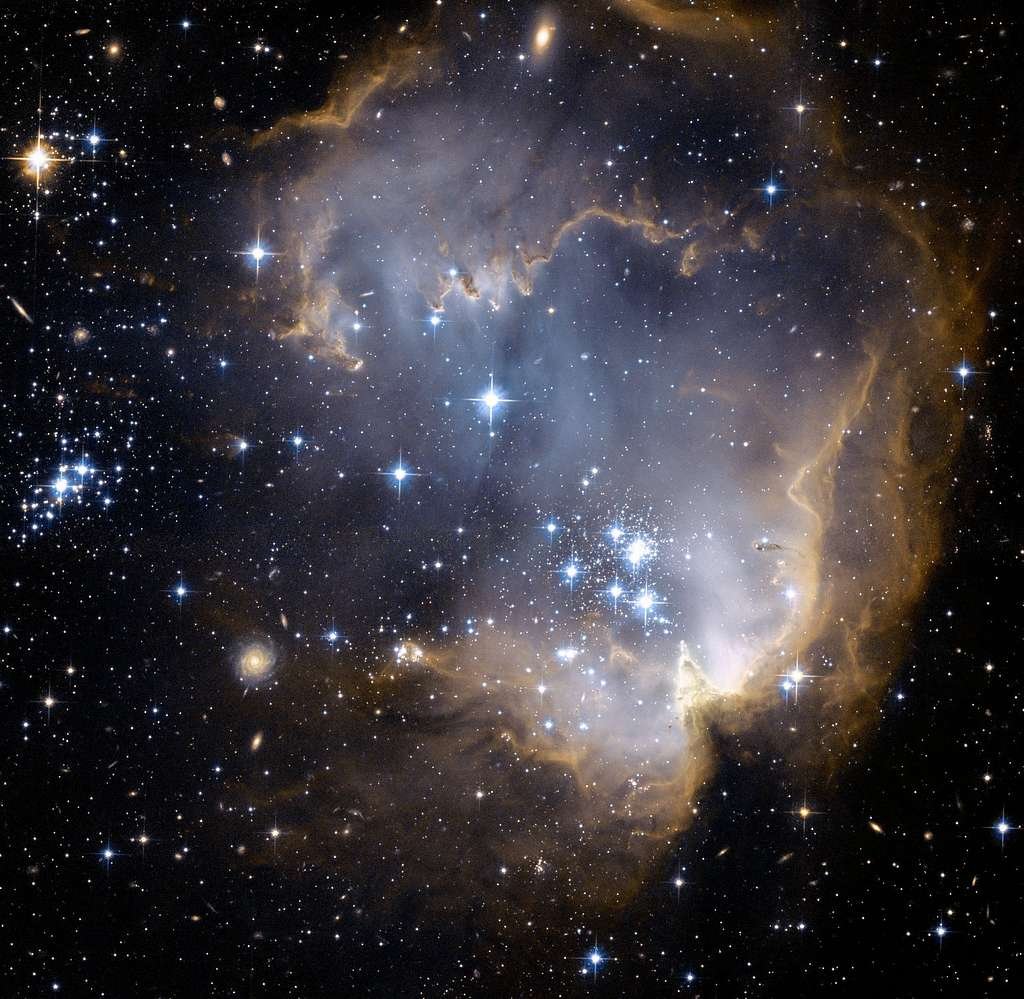 Infant Stars Infant Stars