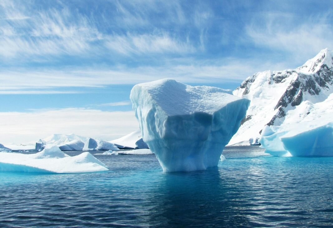 Marine Life in Antarctica