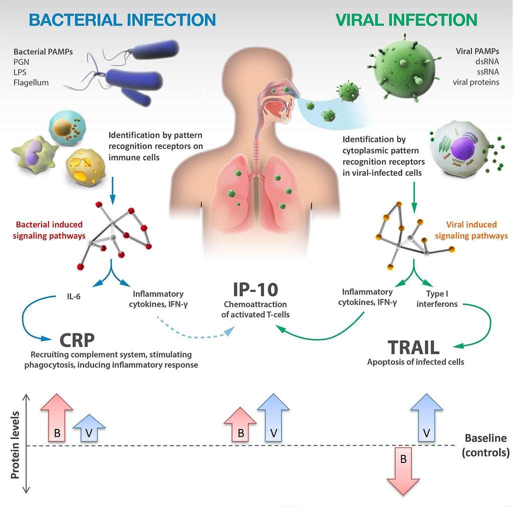 Biomarker Biomarker