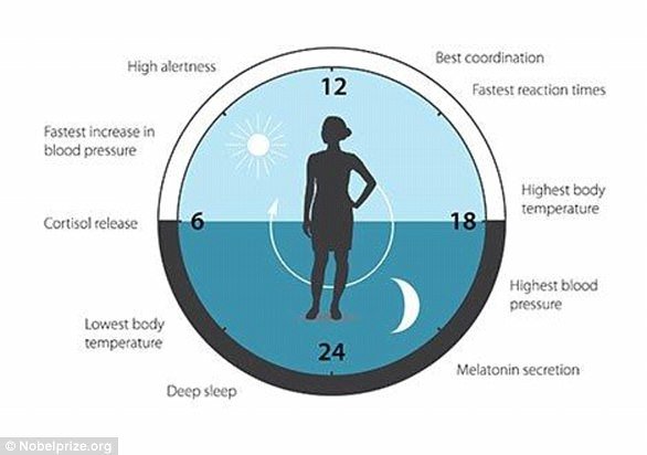 Disrupted Body Clocks