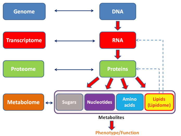 Metabolomics