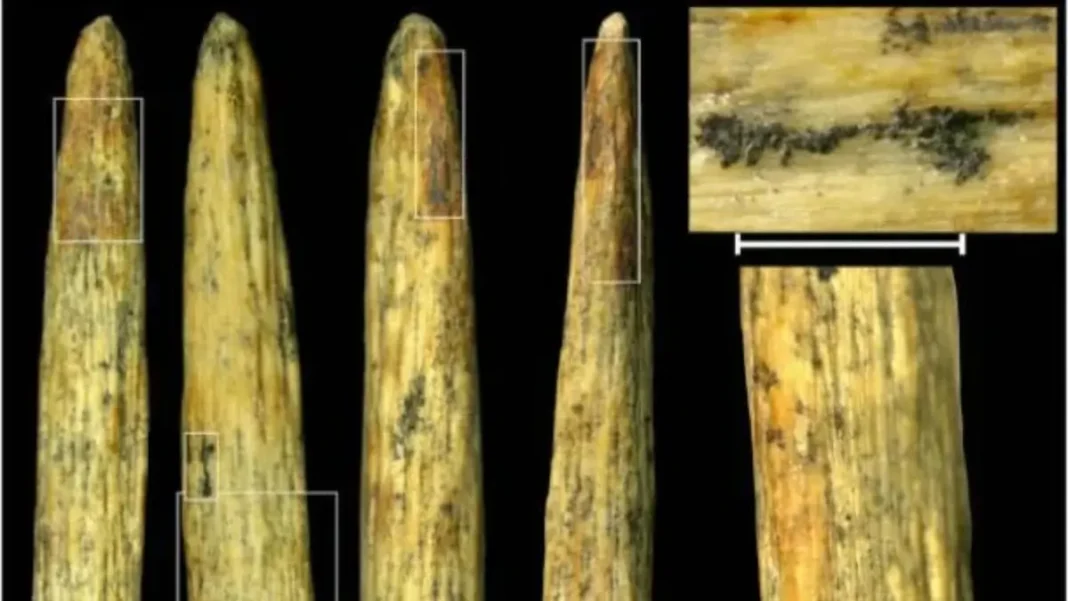 80,000-Year-Old Spear Shatters 80,000-Year-Old Spear Shatters