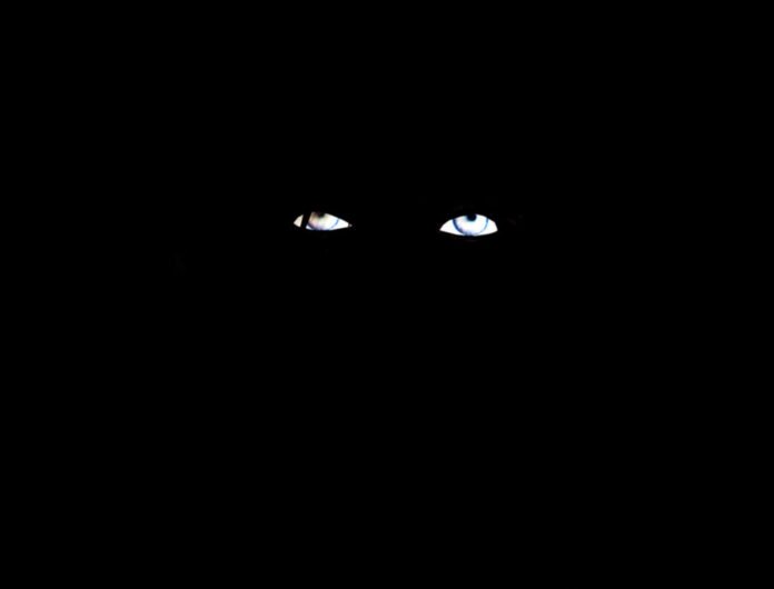 Internet Blackout