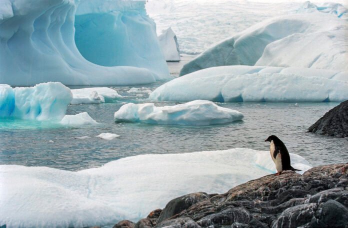 Antarctic