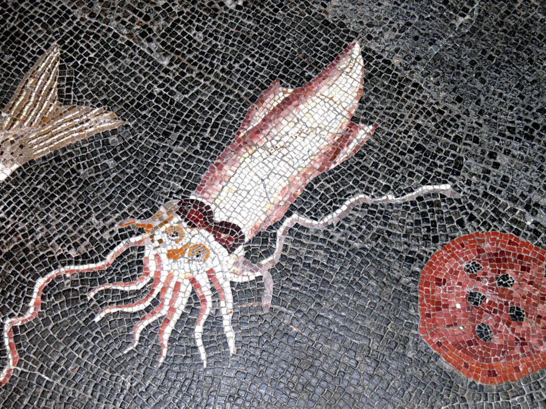 Ancient Squids
