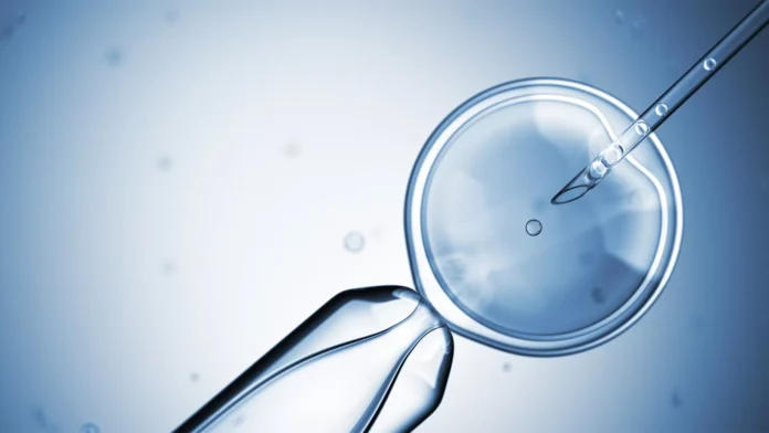 Lab-Grown Sperm
